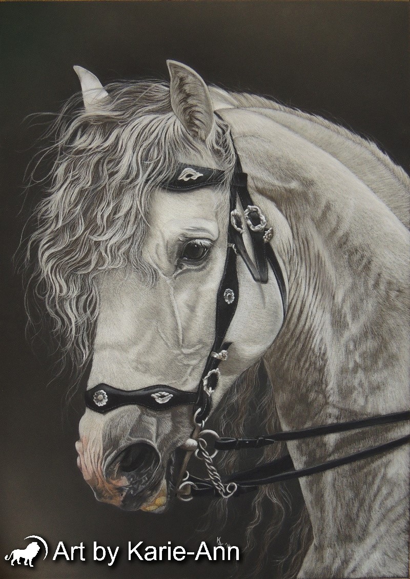 horse portraits paintings